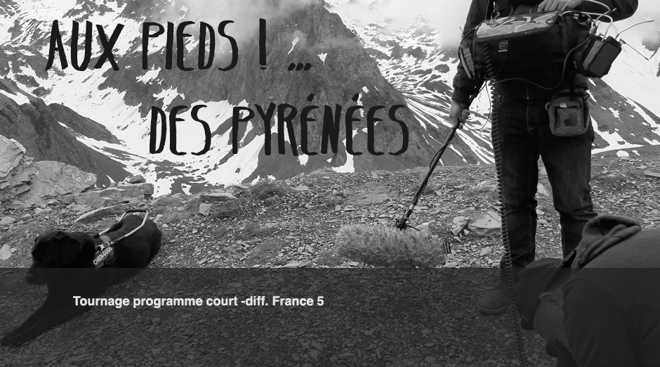 Les Fabriqueurs d’Images – société de production audiovisuelle à toulouse en Occitanie